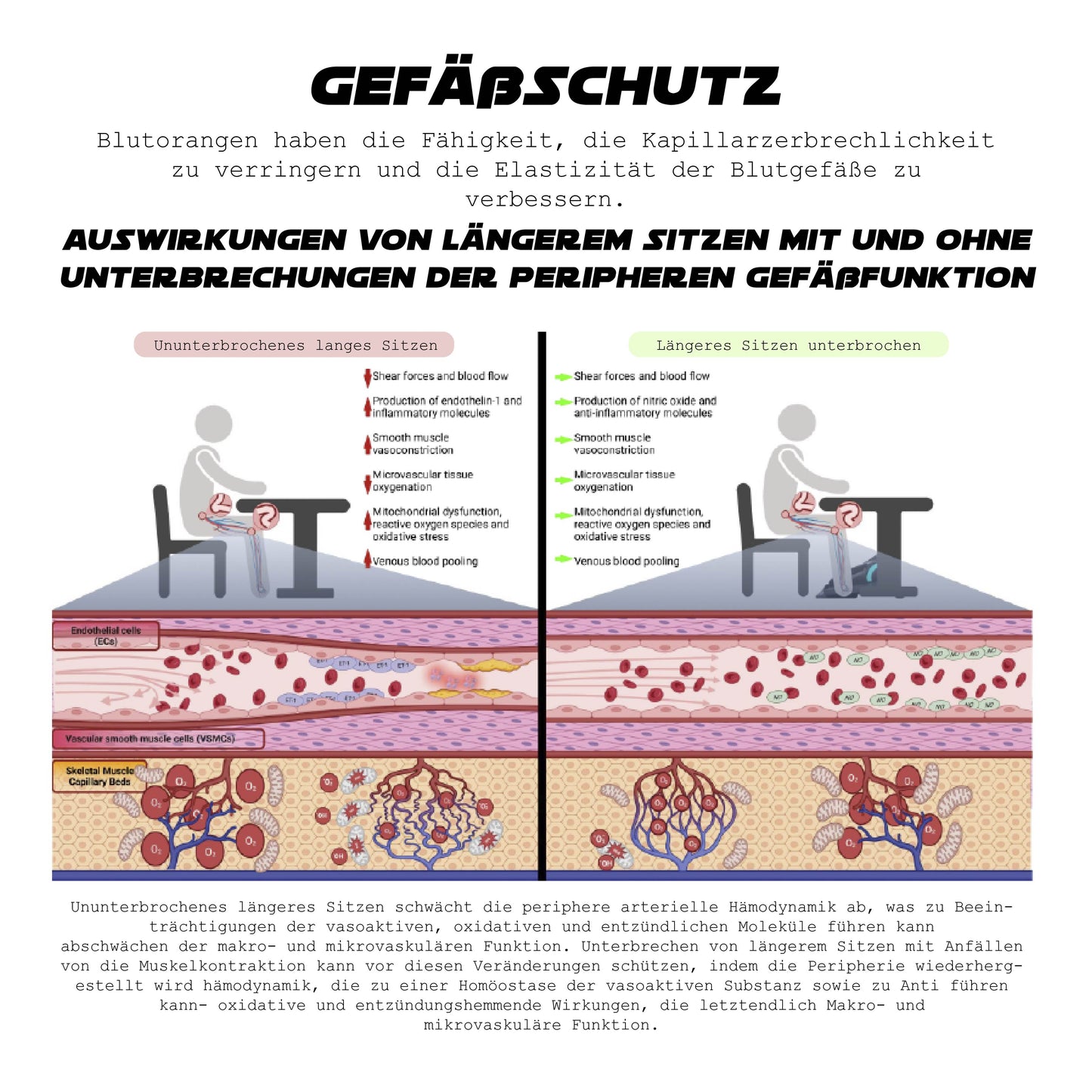 ATTDX Blutorange Immunsystem unterstützen Entgiftungstee