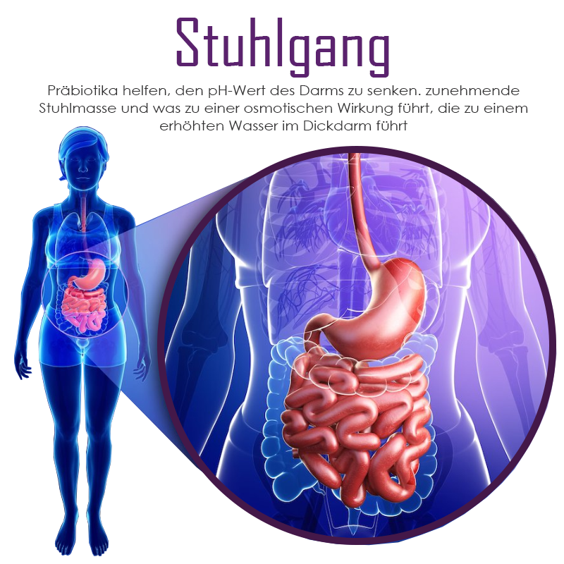 ATTDX GutWohlbefinden Konzentriert Pflaume Saft