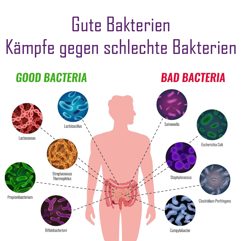 ATTDX GutWohlbefinden Konzentriert Pflaume Saft