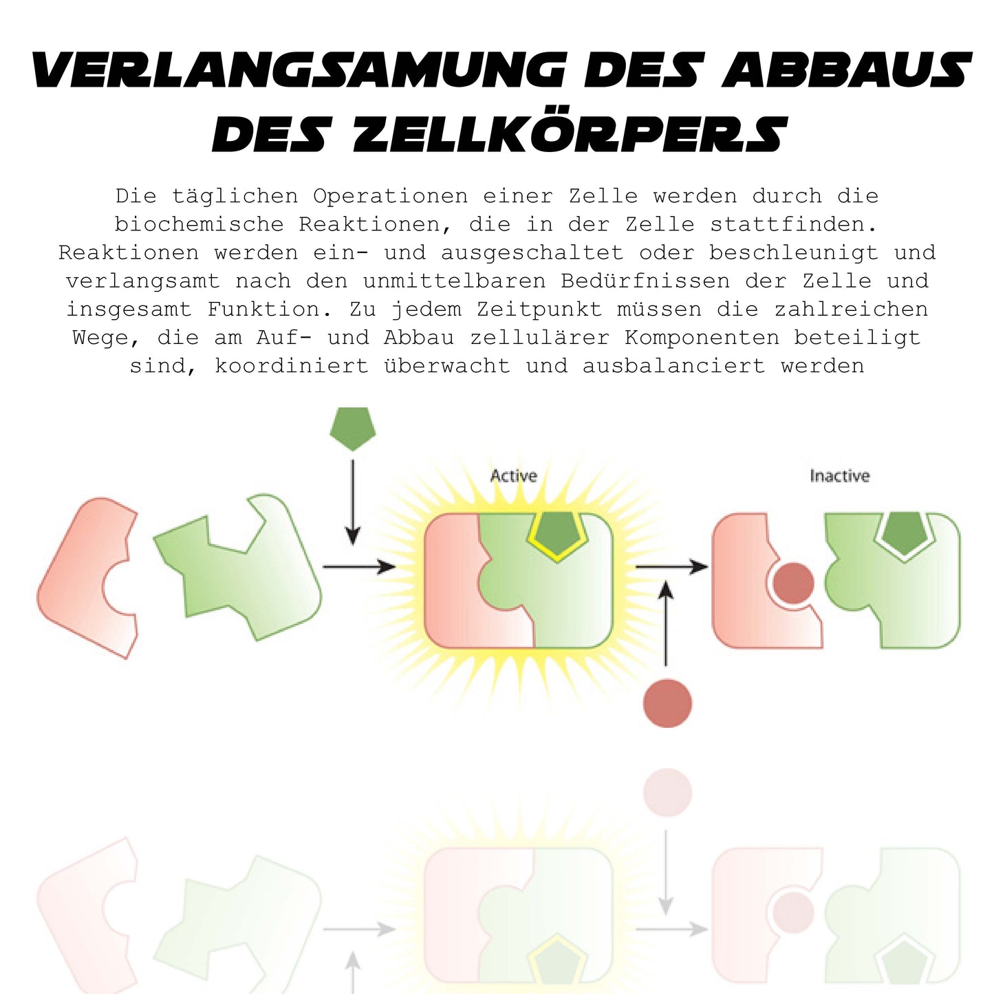 ATTDX Haare Follikel Erneuerung Schwarz Sesam Kugel