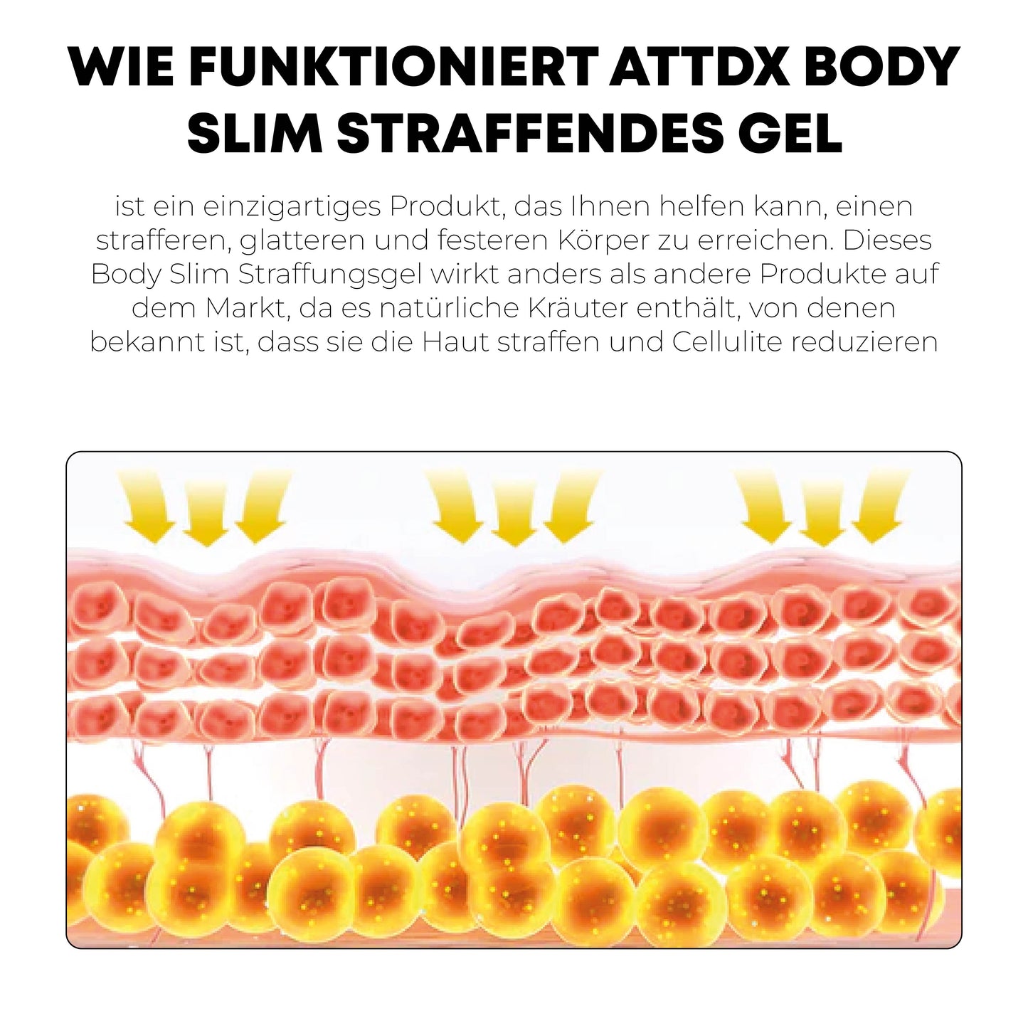 ATTDX KörperSchlank Verschärfung Gel