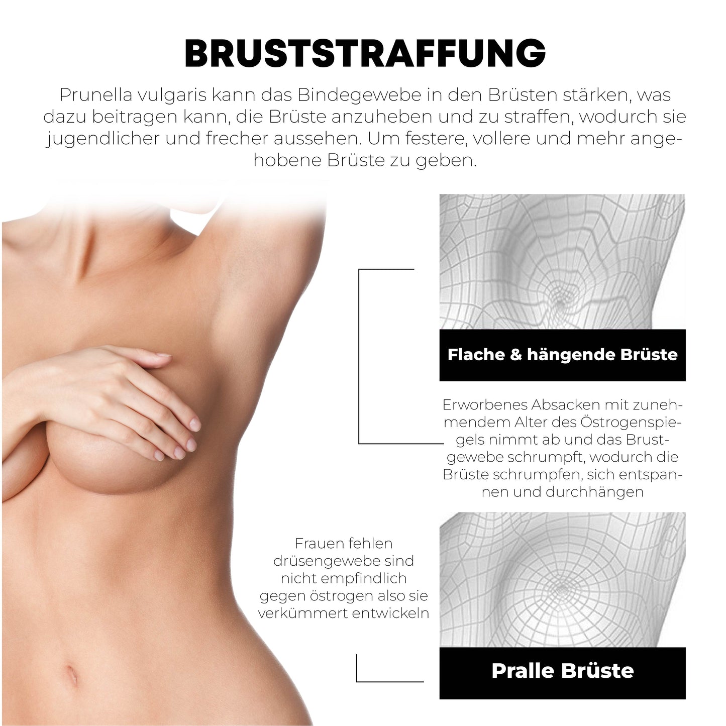 ATTDX BrustRundlich Kräuter Erweiterung Patch