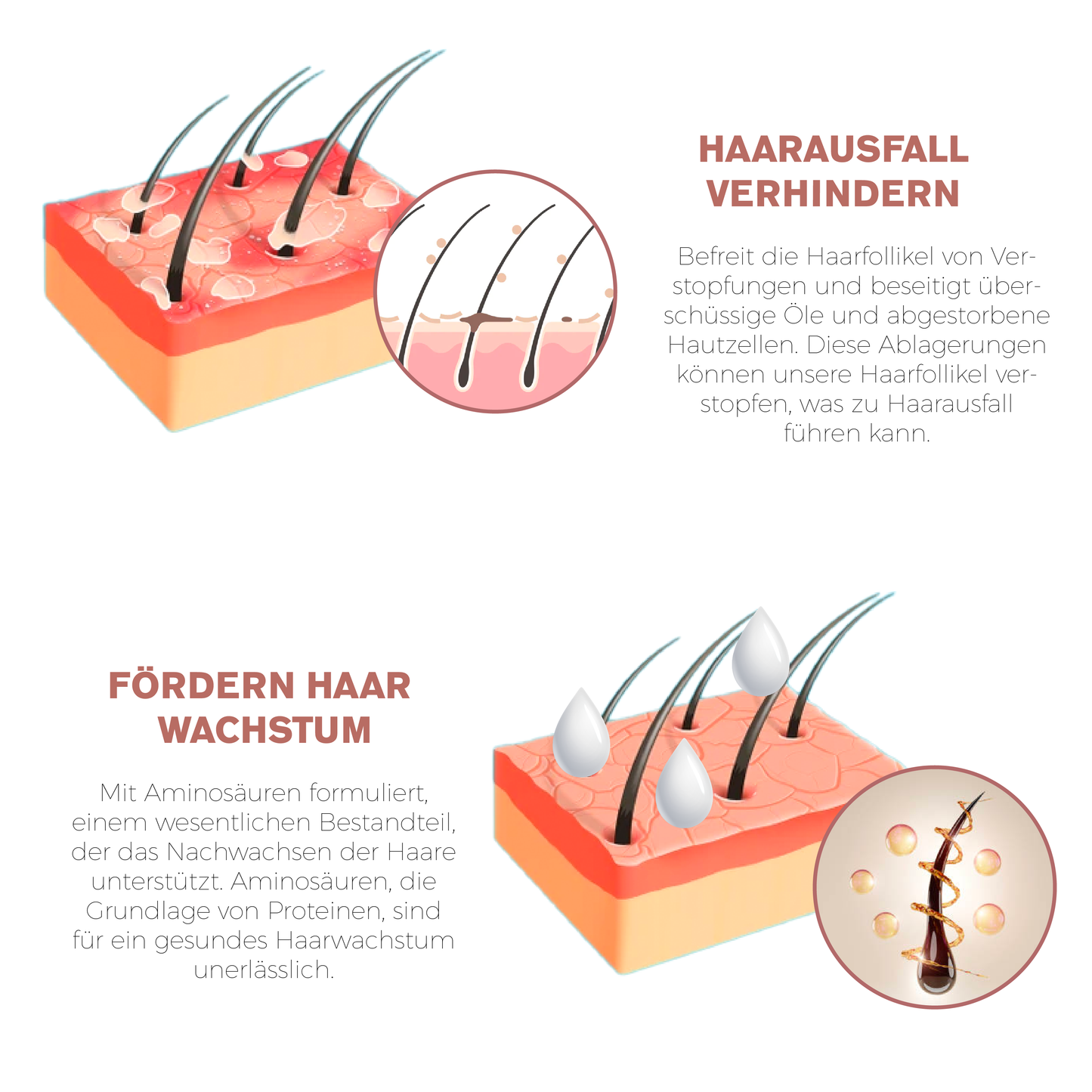 ATTDX Sofort HaareWiedergeboren Ampullen