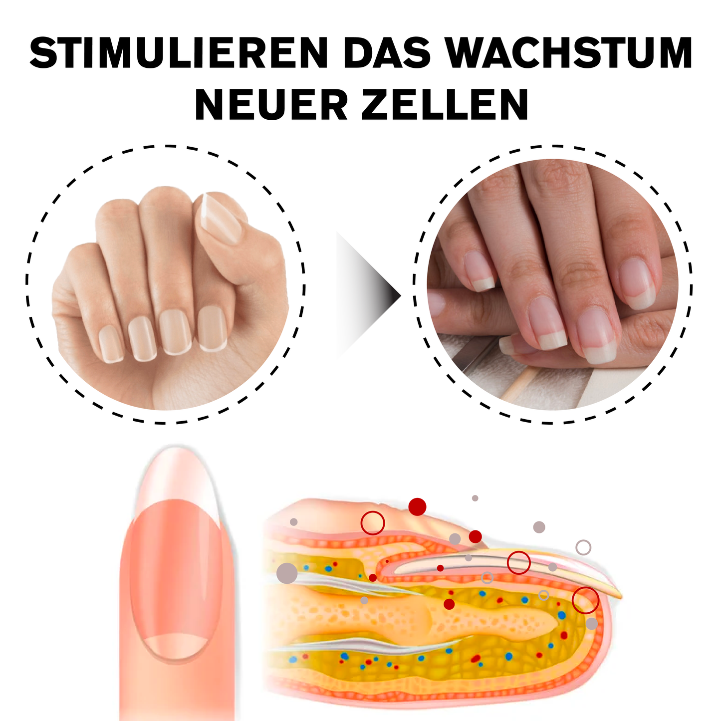 ATTDX NagelReparatur Wachstum Feuchtigkeitsspendend Serum