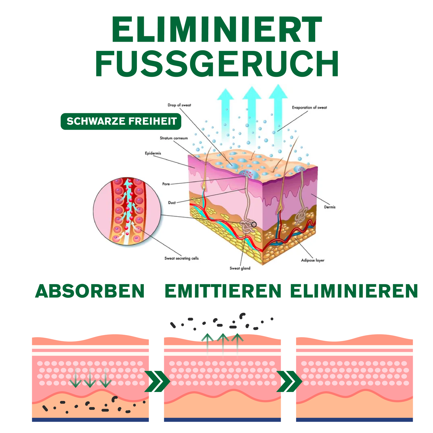 ATTDX AnschwellenReduzieren MagnetTherapie Ingwer Patch