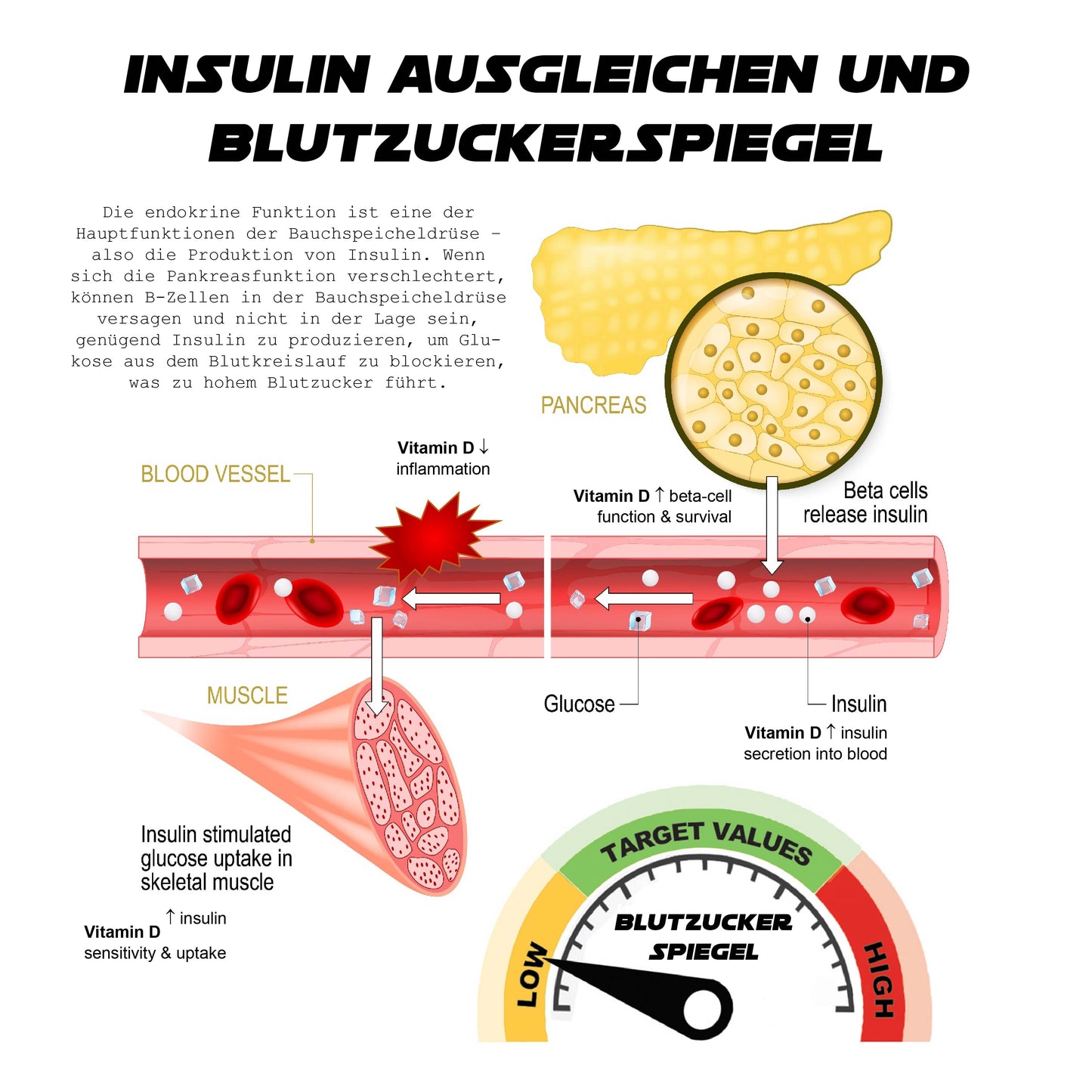 Ricpind Ultraschall ZuckerKontrolle Intelligent Fitband